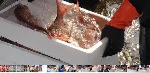 実は知られていない動画を広報紙に活用する方法