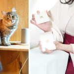 関西最大級の猫グッズイベント「にゃんこ博覧会2025」に「推しねこ占い」の著者・じぇふさんがスペシャル企画「猫タロット占い」出展（5/3,4）